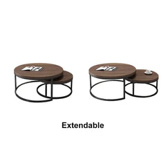 Set of 2 Walnut Modern Coffee Table Set