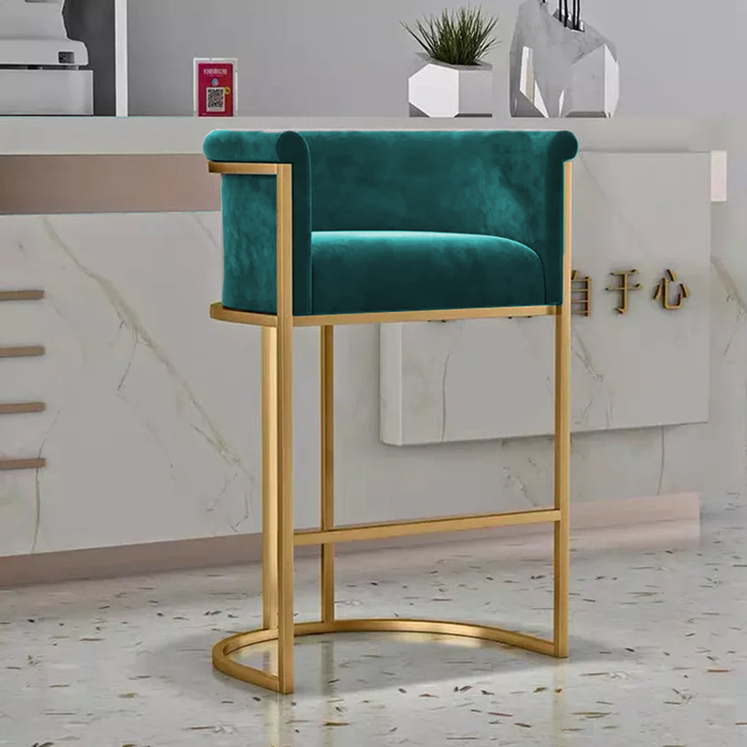 Luxury Living Room Chair-Zinc