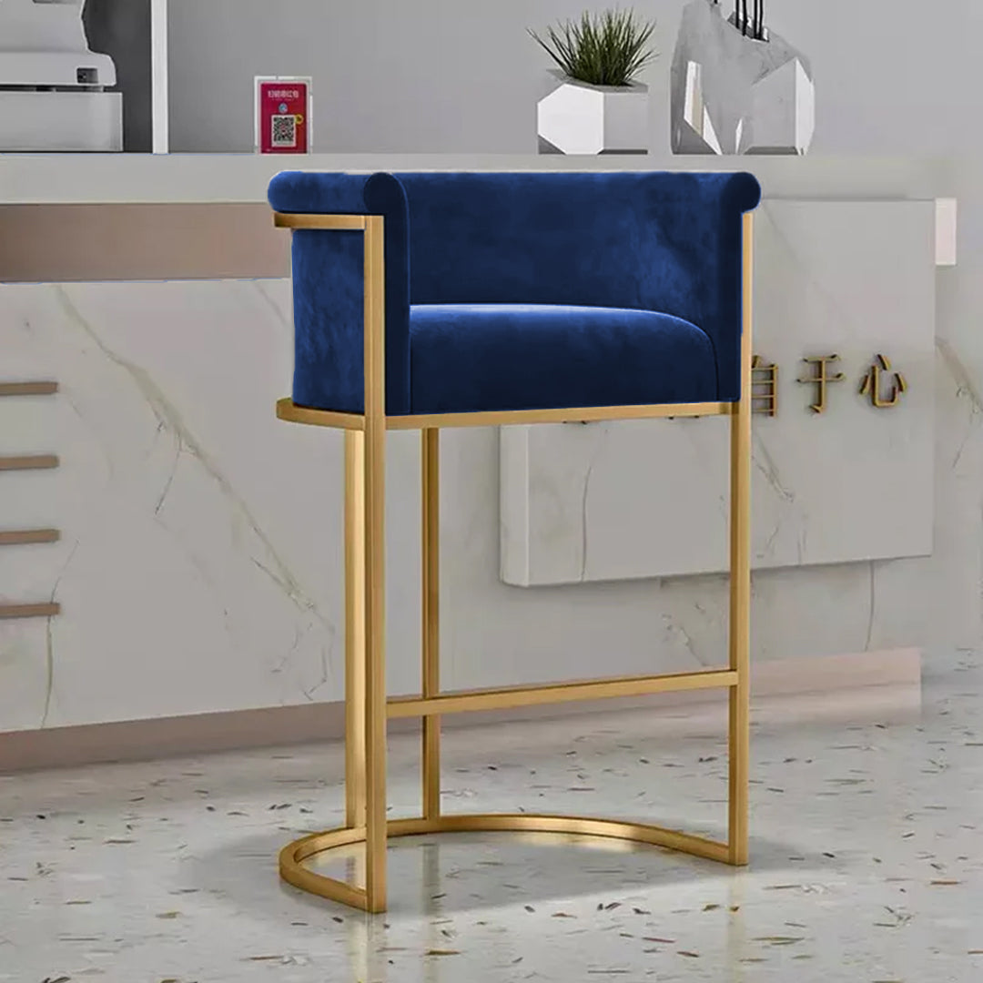 Luxury Living Room Chair-Navy Blue