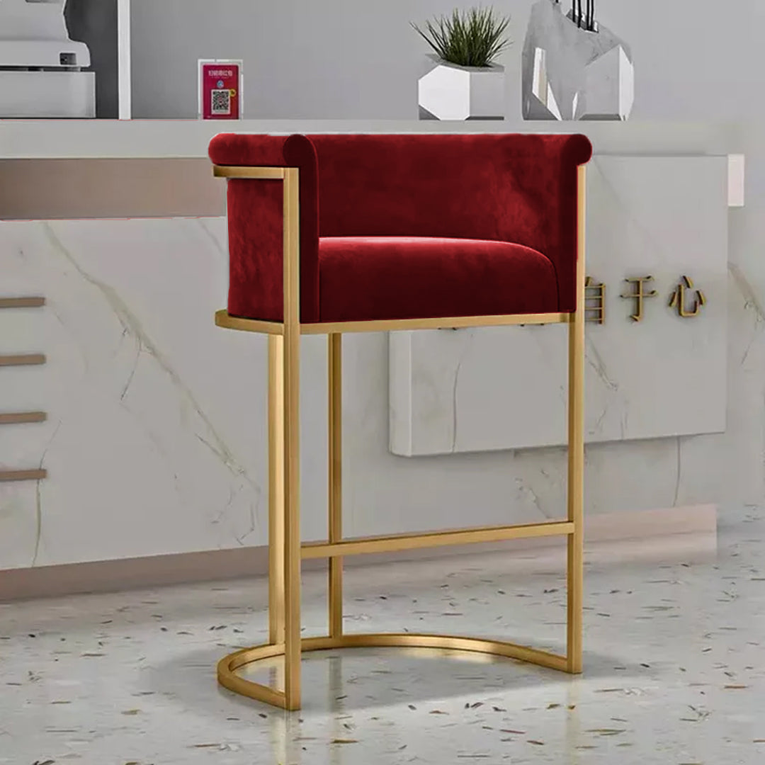Luxury Living Room Chair-Red
